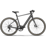 Fiido E-Gravel electric Bike