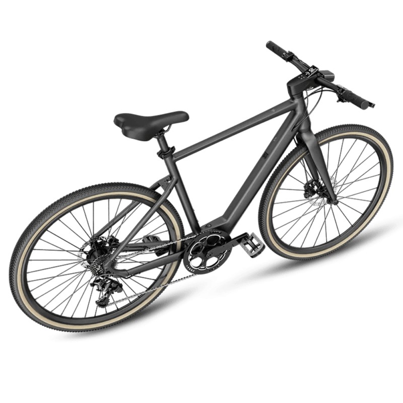 Fiido E Gravel Electric Bike