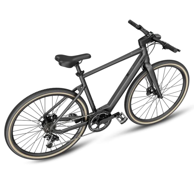 Fiido E Gravel Electric Bike
