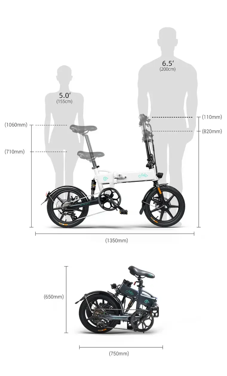 FIIDO D2S Folding Electric Bike FIIDO Ireland