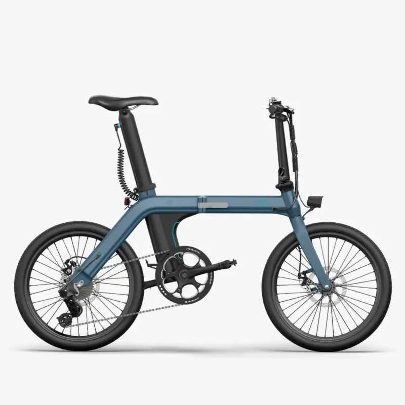 Fiido D11 Folding Electric Bike