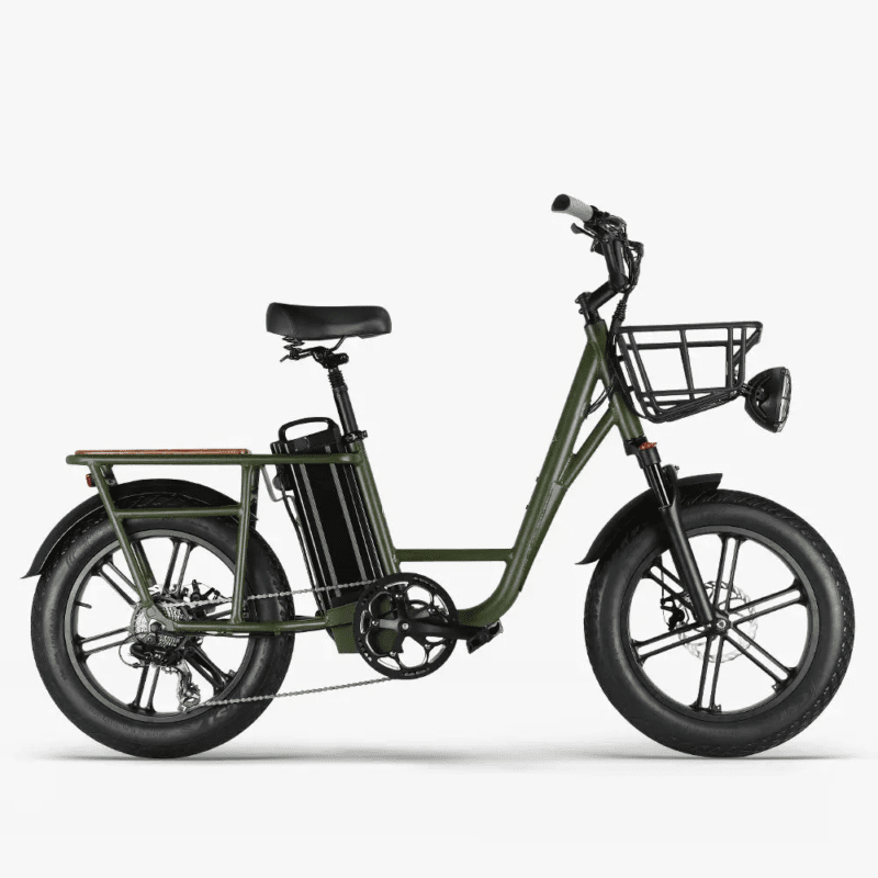 Fiido T1 Pro Utility Electric Bike