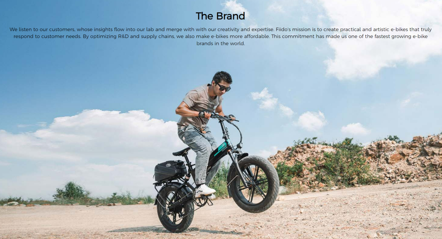 Fiido M1 Pro Fat Tire Electric Bike 2025 New Upgraded Version Model fiido-m1-pro-fat-tire-electric-bike-2025-new-upgraded-version-model