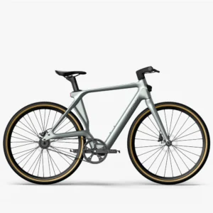 Fiido C31 Air Carbon Fiber E-bike Pre-Book Only (Available in February)