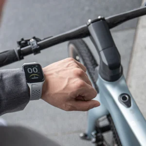 Fiido C31 Air Carbon Fiber E-bike Pre-Book Only (Available in February) - Image 3