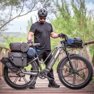 Titan 2025 250W model ebike or multi use ecargo - Image 8