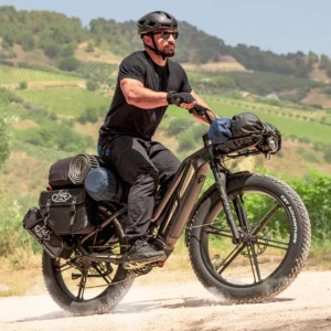 Titan 2025 250W model ebike or multi use ecargo - Image 5