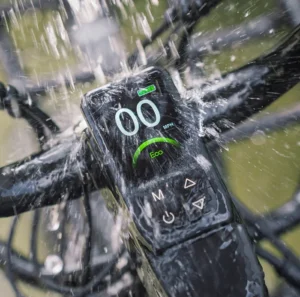 Titan 2025 250W model ebike or multi use ecargo - Image 7