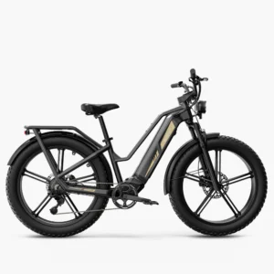 Titan 2025 250W model ebike or multi use ecargo