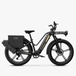 Titan 2025 250W model ebike or multi use ecargo - Image 9