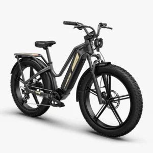 Titan 2025 250W model ebike or multi use ecargo - Image 3