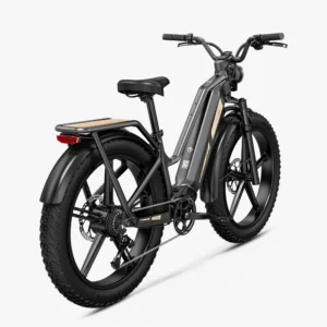 Titan 2025 250W model ebike or multi use ecargo - Image 2