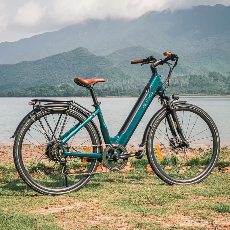 Fiido C11 Pro City E-Bike - Image 4